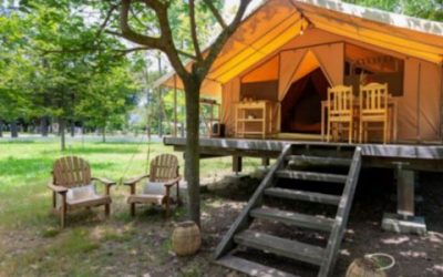 Partir en Corse avec son chien : le guide complet pour des vacances réussies au camping