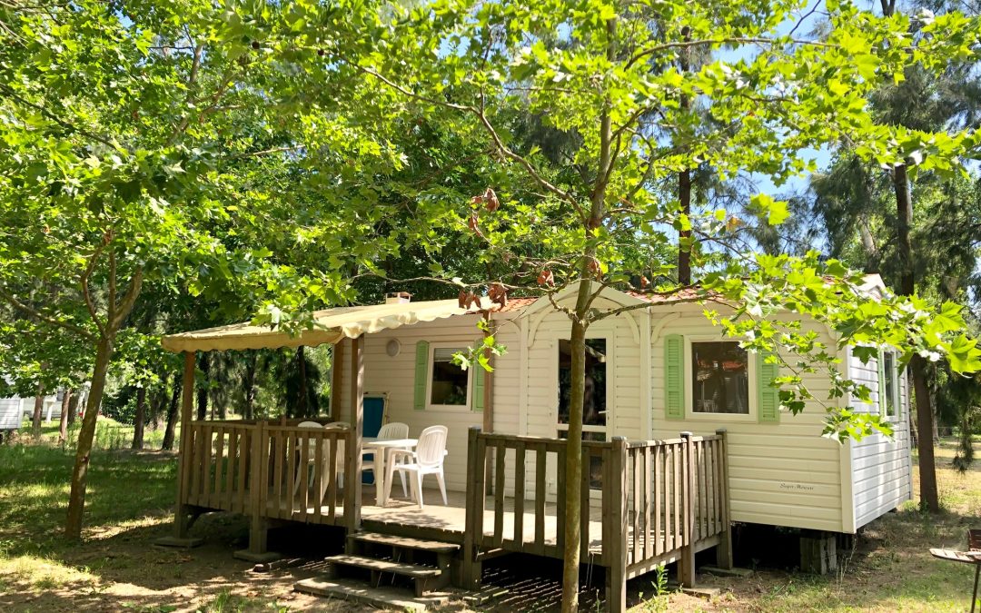 Mobil-home avec terrasse en bois sous les arbres